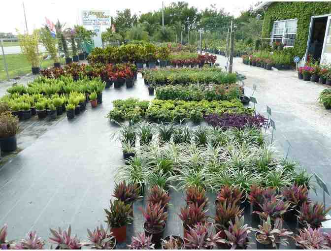 Are you Looking for Landscaping Items?