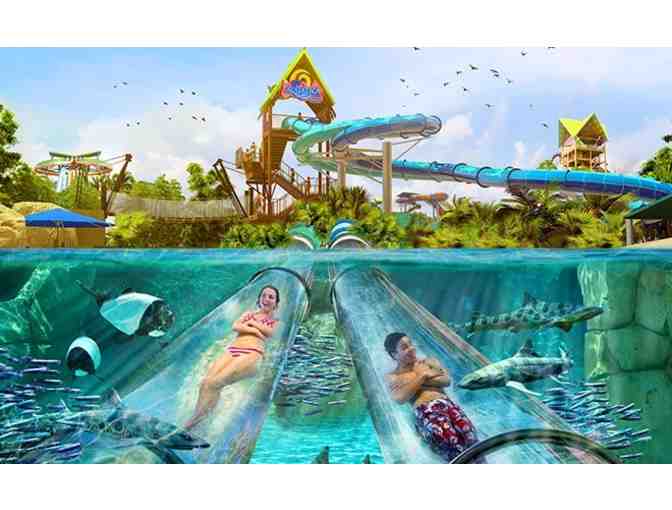 Aquatica Orlando - 2 guest passes - Photo 1