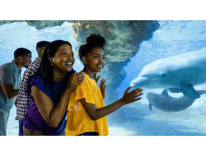 Seaworld Orlando - 2 tickets