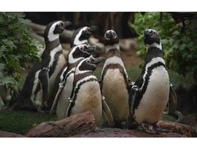 Seaworld Orlando - 2 tickets