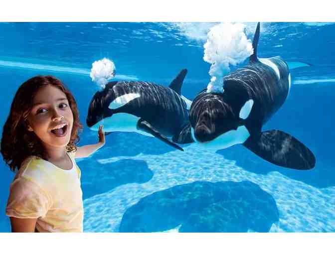 Seaworld Orlando - 2 tickets