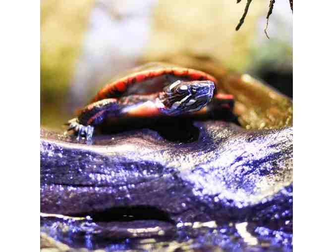 Merlin Entertainments - Three cool things to visit - Orlando - Photo 1