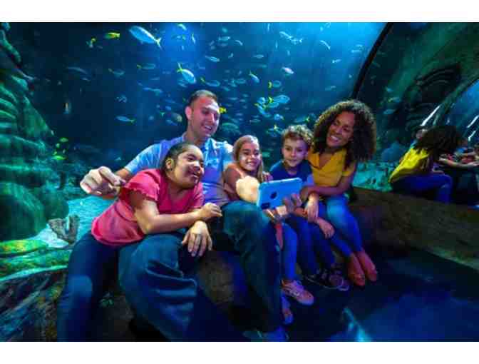 Merlin Entertainments - Three cool things to visit - Orlando - Photo 2