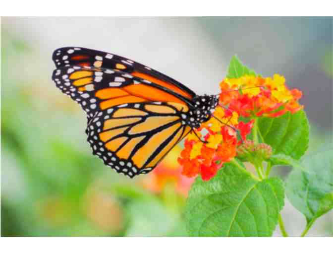 Museum of Discovery & Science - Tampa