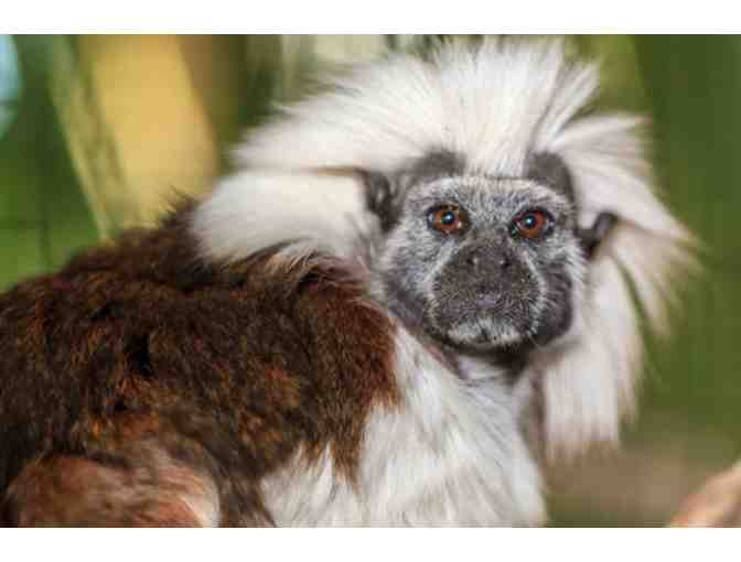 The Naples Zoo Guest Passes