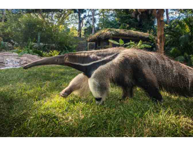 The Naples Zoo Guest Passes