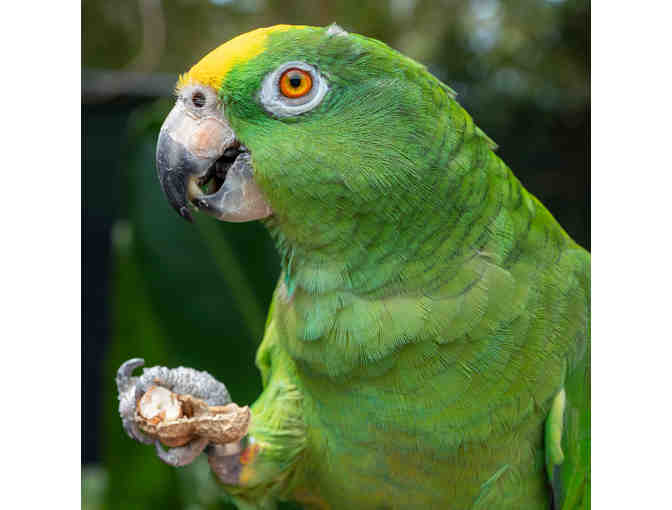 The Naples Zoo Guest Passes