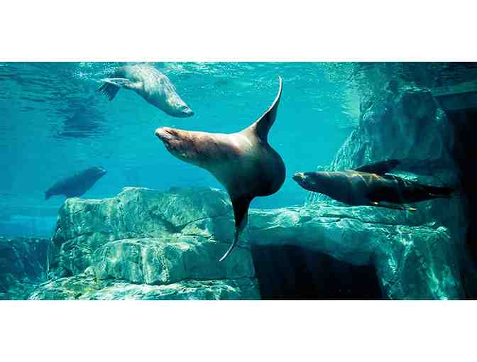 River Banks Zoo and Garden Passes, Columbia SC