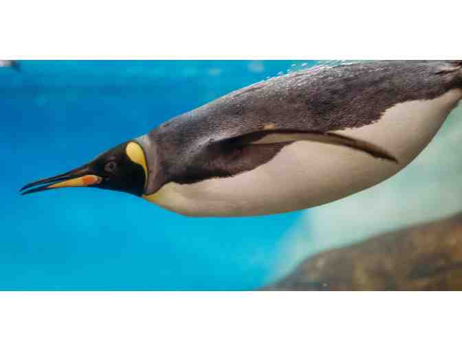 River Banks Zoo and Garden Passes, Columbia SC