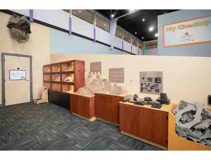 Great Explorations - St. Petersburg FL