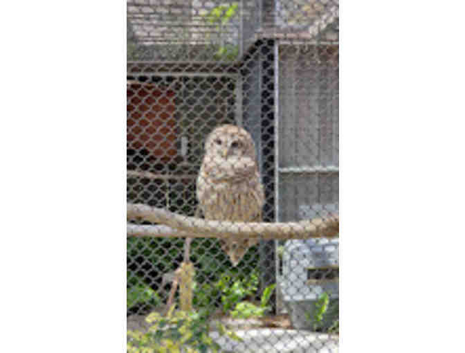 Conservancy of SW Florida - Naples Guest Passes