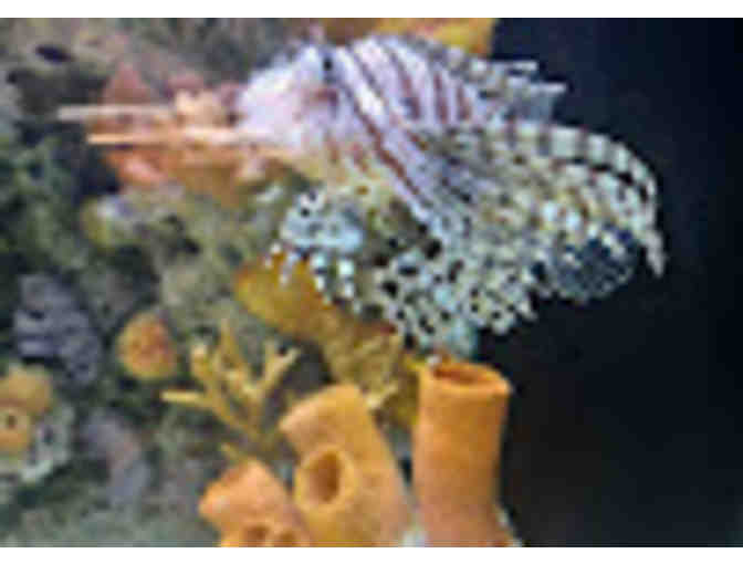 Conservancy of SW Florida - Naples Guest Passes