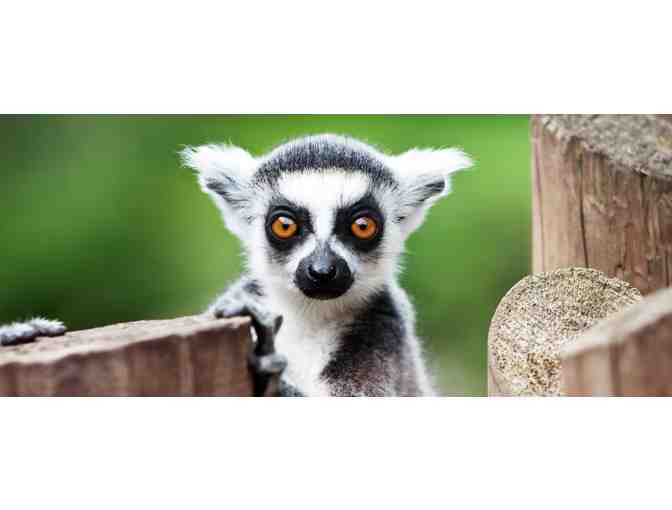 North Florida Wildlife Center Guest Passes