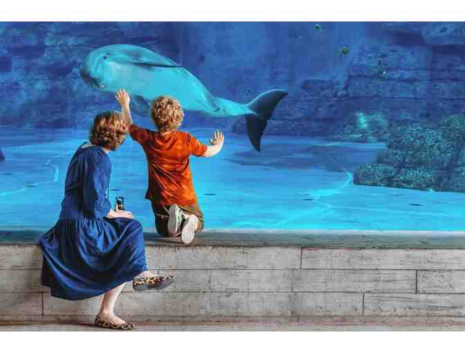 Clearwater Marine Aquarium