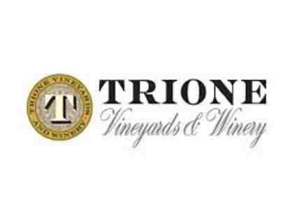 VIP Tasting and Tour for 6 at Trione Vineyards and Winery