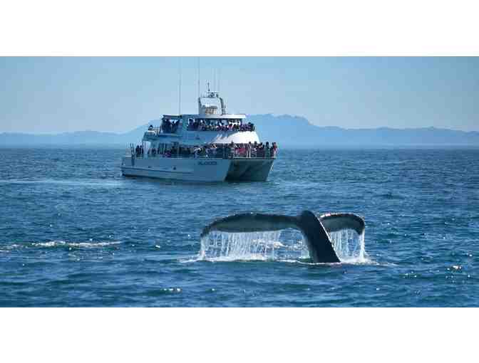 Excursion Pass for 2 for an Island Packers Day Trip to Anacapa or Santa Cruz Island