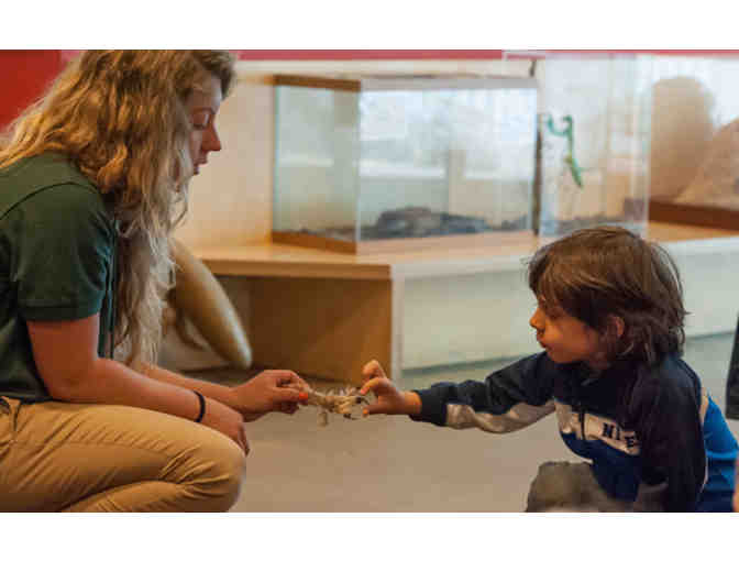 4 Guest Passes for the Lindsay Wildlife Experience