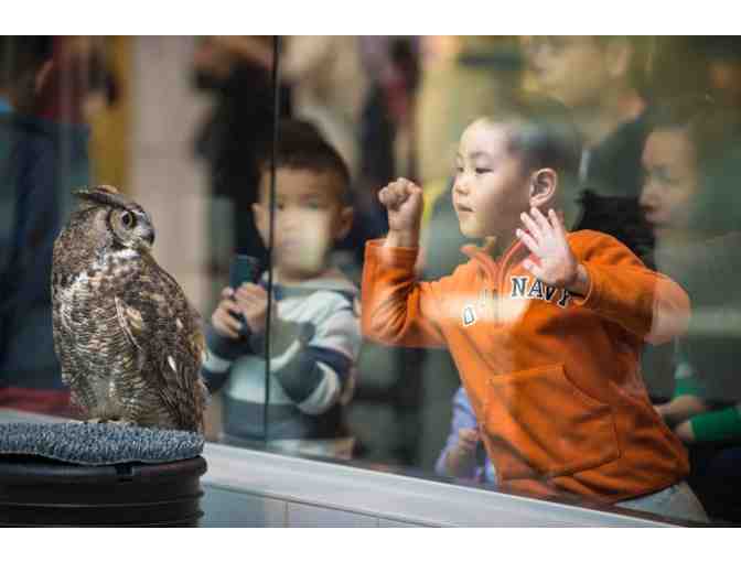 4 Guest Passes for the Lindsay Wildlife Experience