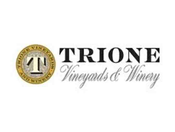 Tasting and Tour for 6 at Trione Vineyards and Winery