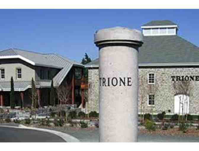 Tasting and Tour for 6 at Trione Vineyards and Winery