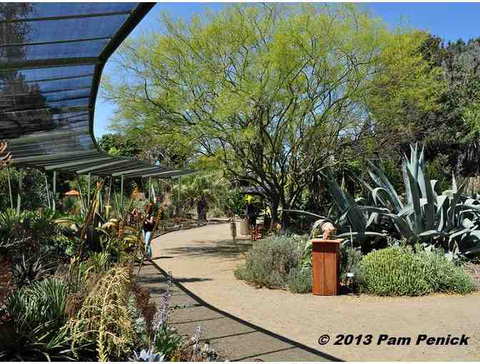 1 Year Dual Membership to The Ruth Bancroft Garden - Photo 3