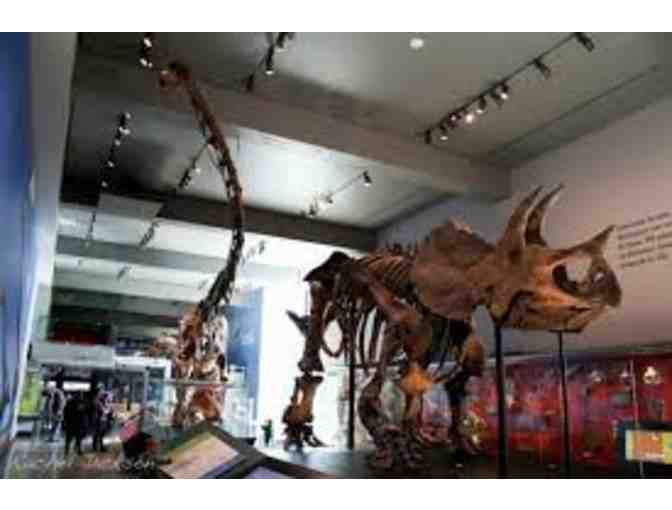 4 Passes for the Children's Museum at La Habra