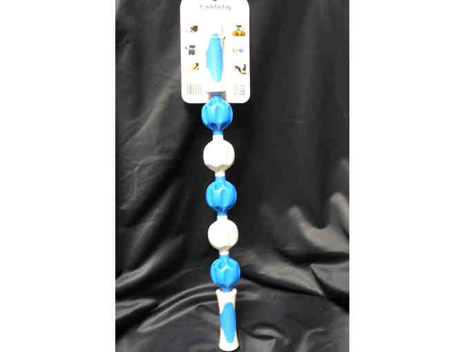 Fit as a Fiddle (Package)