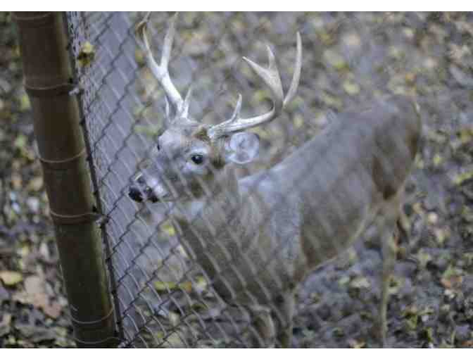 Travis Dew Photography - Sitting Fee