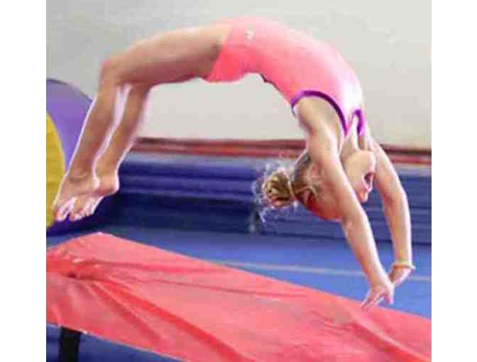Payke Gymnastics Academy - 4 weeks of gymnastics classes