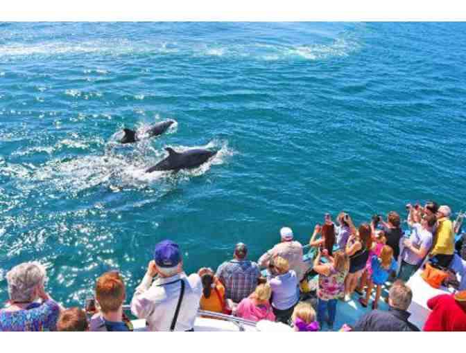 Newport Landing - Whale Watching Trip for 2 People in Newport Beach
