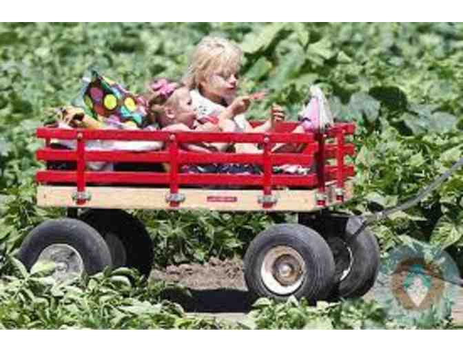 Underwood Family Farms - Season Pass for 5