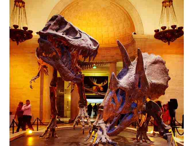 Natural History Museum of LA County - 4 Guest Pass Package
