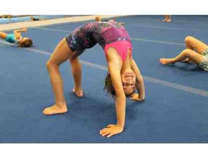 Club Champion Gymnastics - 4 Gymnastics Classes