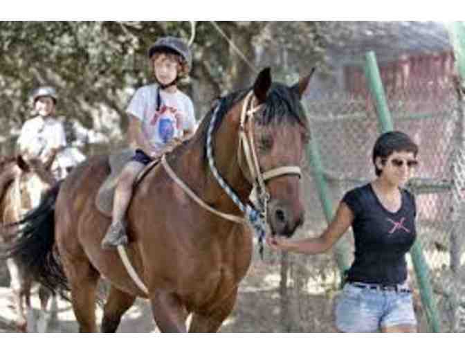 Tom Sawyer Camps - Horseback Riding Lessons