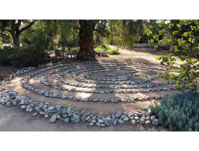 Personal Tour of Arlington Garden in Pasadena + Picnic for 4