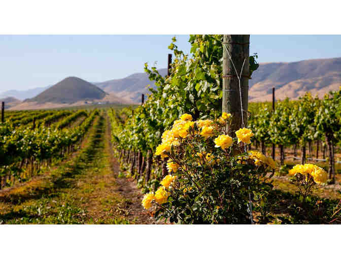San Luis Obispo Wine Getaway - Madonna Inn, wine tasting and more!