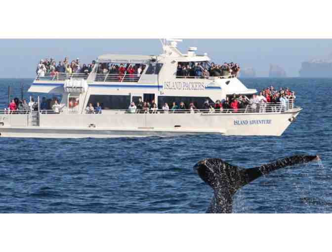 Ventura/Channel Islands Getaway Package - Hotel, Channel Islands Cruise/Tour, and more!