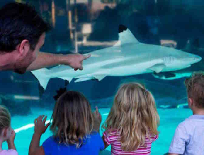 Aquarium of the Pacific in Long Beach - 2 Admission Passes