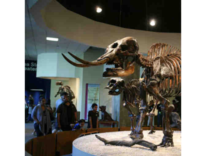 Natural History Museum of LA County - Admission for 4