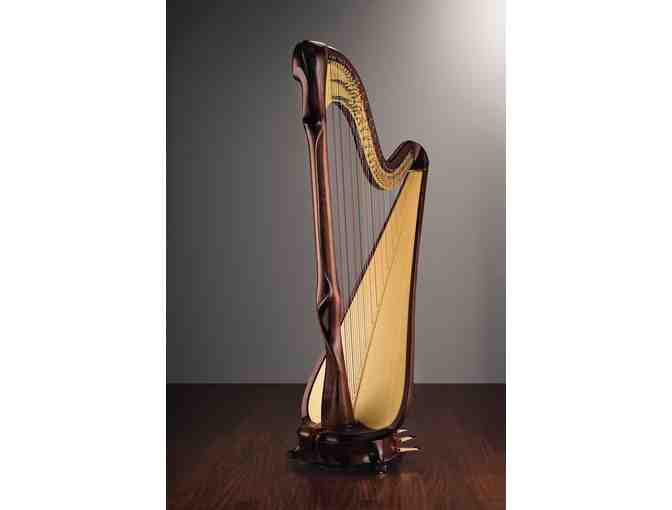 1 Hour Harp Performance at Your Next Event - Photo 1