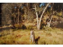 Untitled - Gilda Davidian