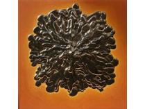 Shield Building - Joel Hoyer