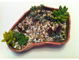 Biminy Bowl 8 (Petite) - Brooke Sauer