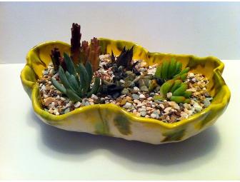 Biminy Bowl 9 (Petite) - Brooke Sauer
