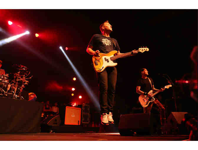 'Bassola' - Mark Hoppus Fender Bass