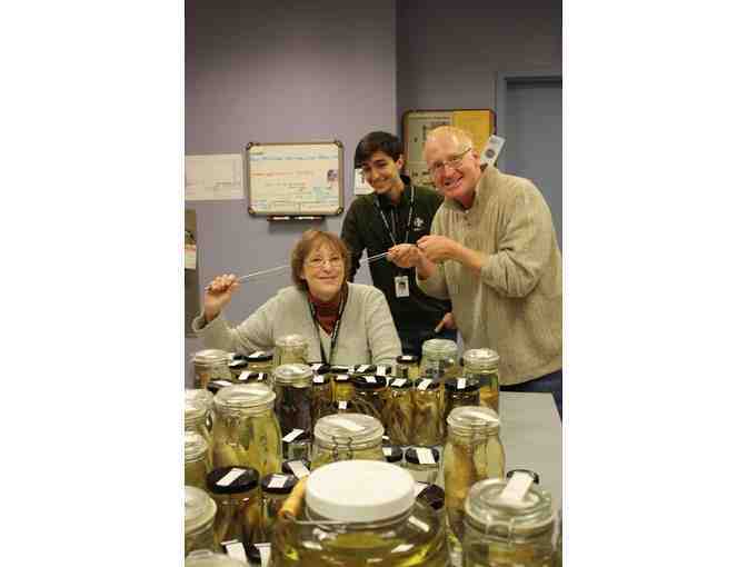 Behind the Scenes at the Field Museum!