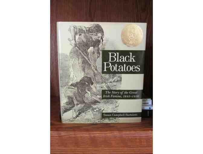 Collection of Irish History