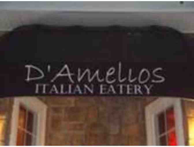 Dinner Party at D'Amelios Italian Eatery