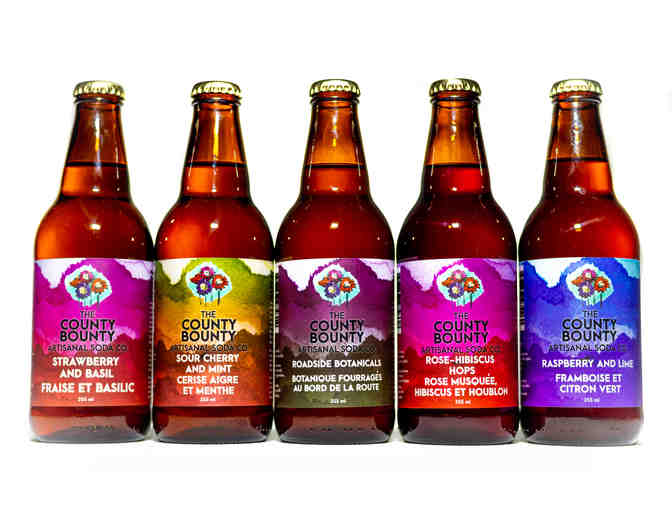 Four (4) 24 packs of The County Bounty Artisanal Soda Co.'s Most Popular Soda Flavours
