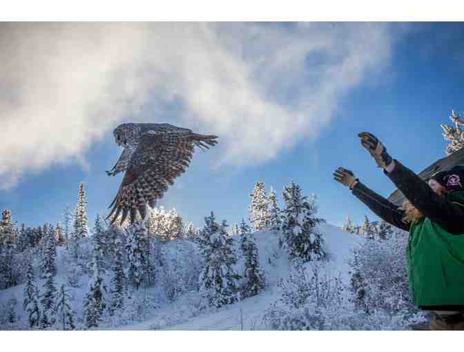 Family Admission Pass to the Yukon Wildlife Preserve